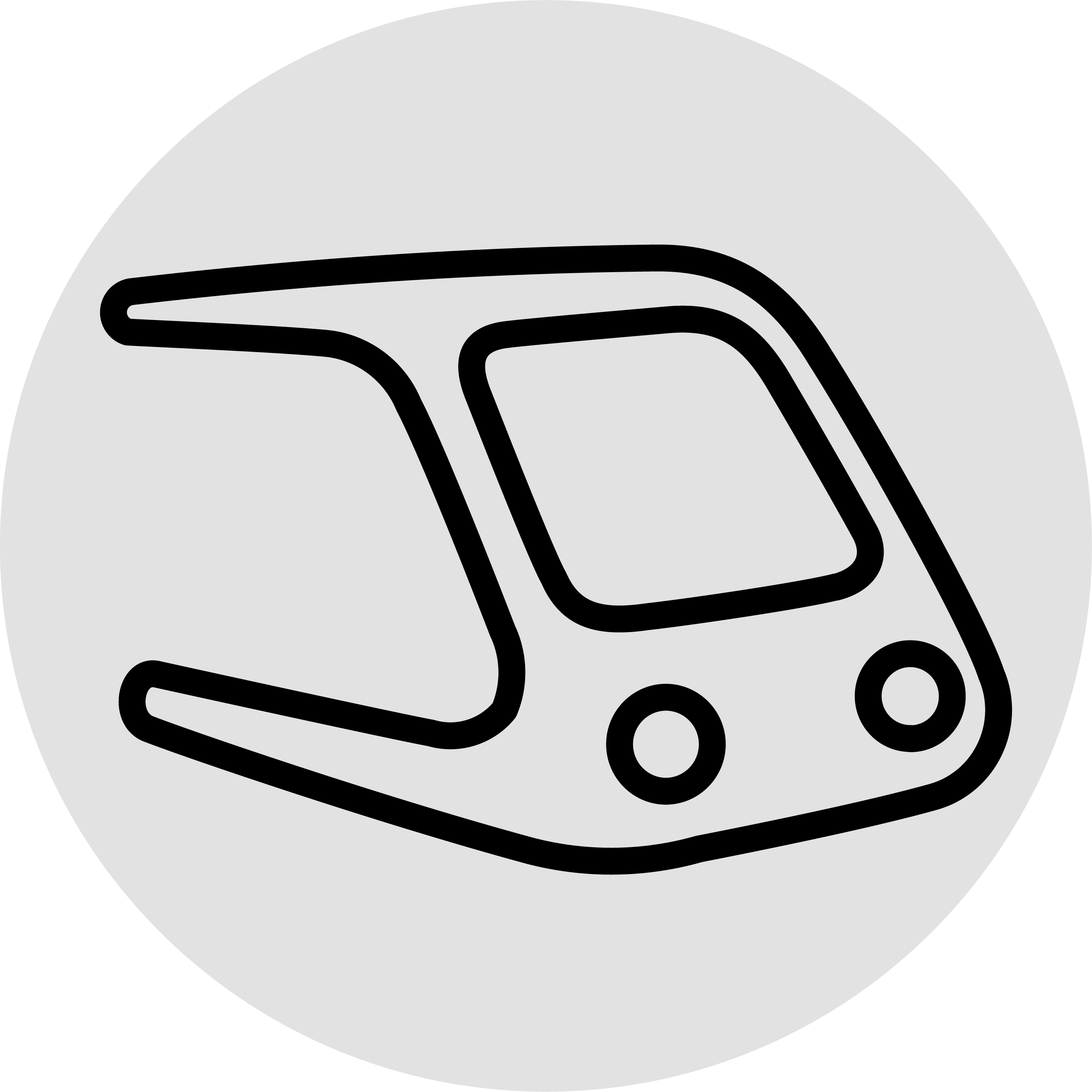 train icon